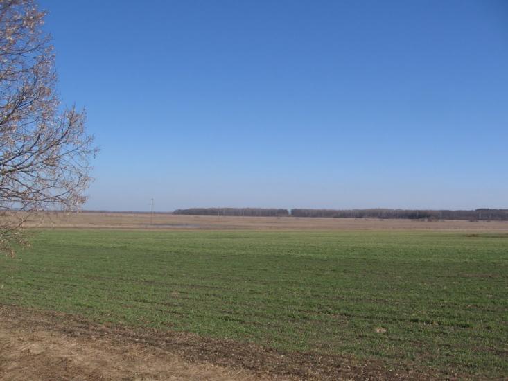 Петрушин з panoramio.com - Petrushyn