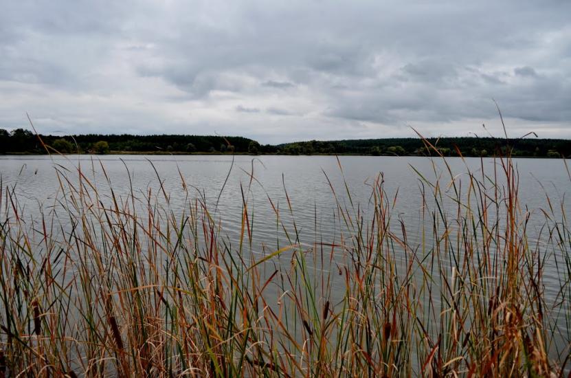 Забір'я з panoramio.com - Заборье