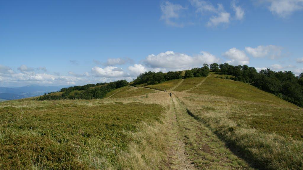 Потік з panoramio.com - Potik