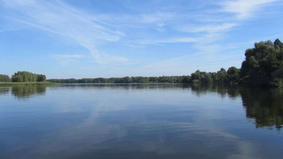 Сорокошичі з panoramio.com - Сорокошичи