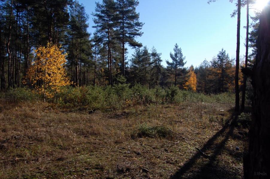 Воронове з panoramio.com - Воронове