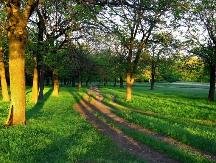 Петровське з panoramio.com - Петровское