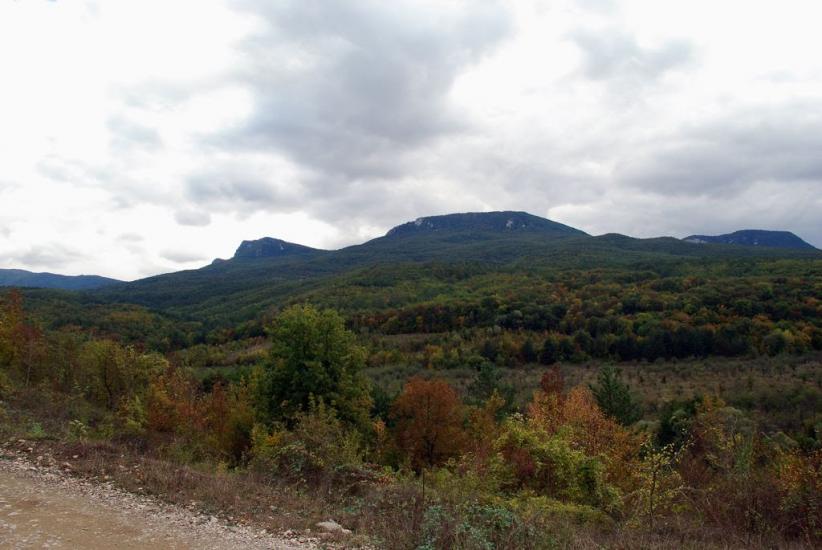Щасливе з panoramio.com - Schaslyve