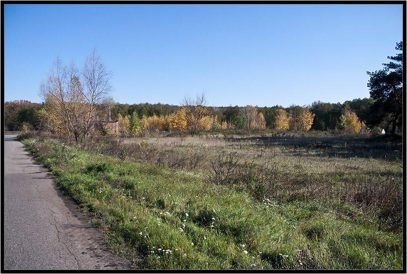 Терентіївка з panoramio.com - Терентіївка