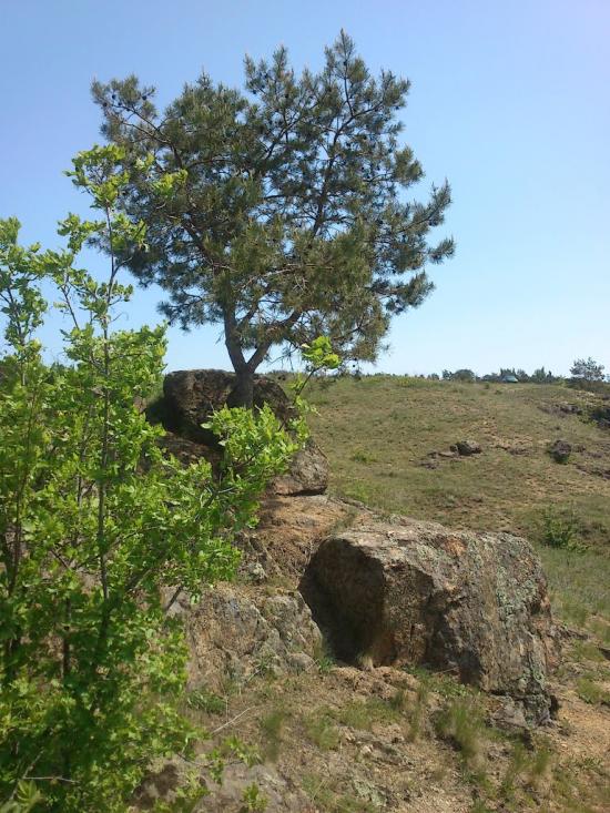 Великомихайлівка з panoramio.com - Великомихайлівка