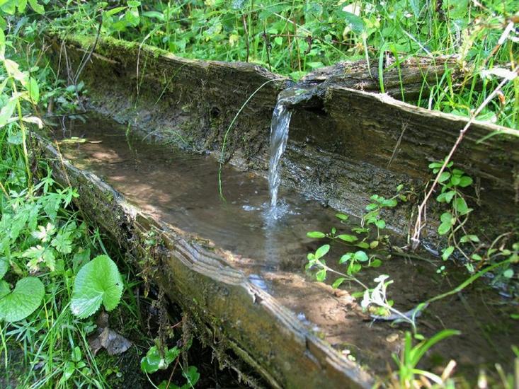 Малий Рожин з panoramio.com - Малий Рожин