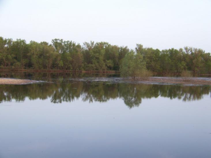 Самусіївка з panoramio.com - Самусіївка