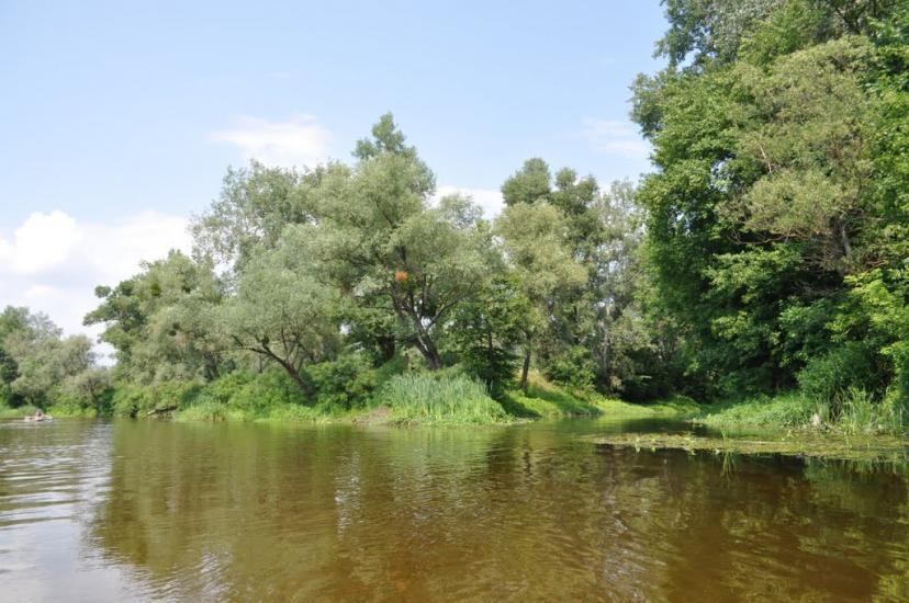 Лабурівка з panoramio.com - Лабуревка