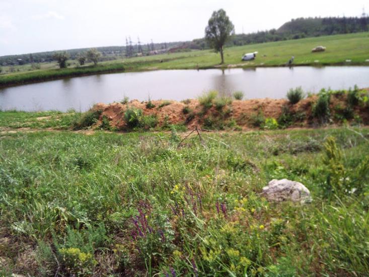 Степне з panoramio.com - Степное