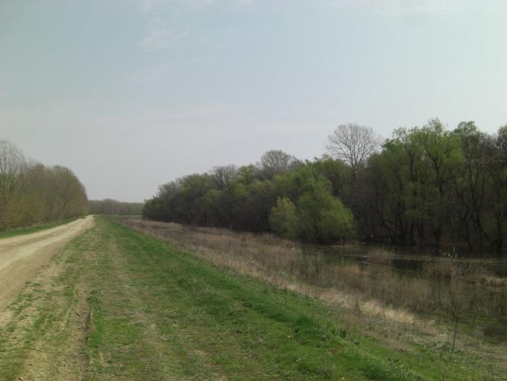 Матроська з panoramio.com - Матросская
