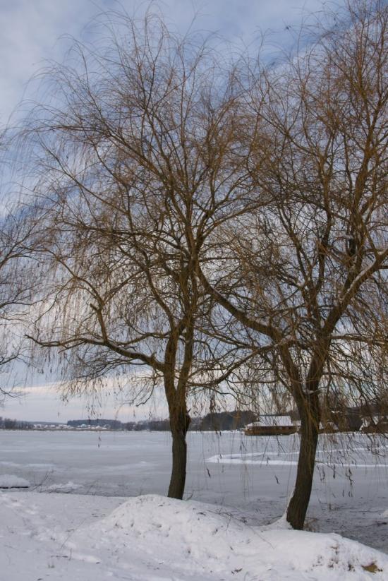 Віта-Поштова з panoramio.com - Вита-Почтовая