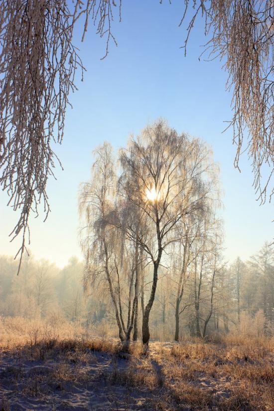 Суховоля з panoramio.com - Sukhovolya