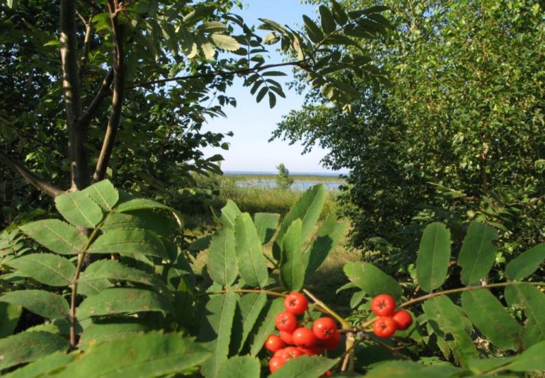 Шацьк з panoramio.com - Шацк