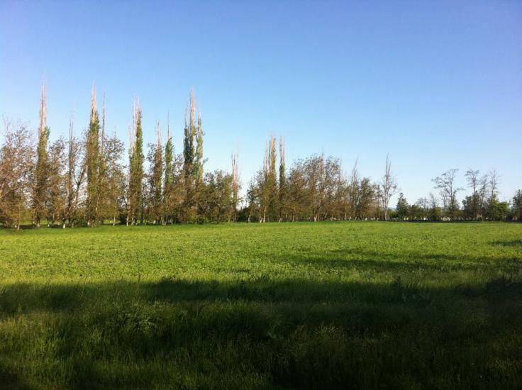 Жемчужина з panoramio.com - Жемчужина