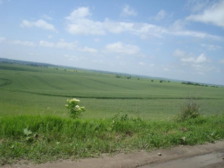 Черепова з panoramio.com - Черепова