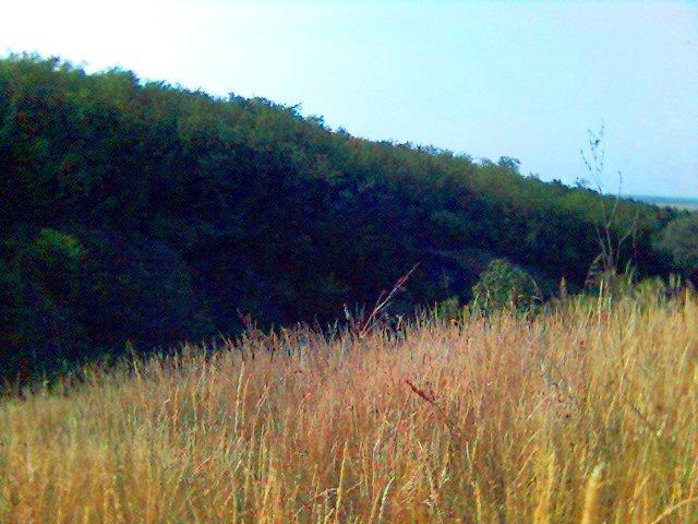 Врадіївка з panoramio.com - Врадиевка