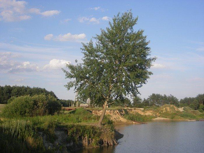 Бездрик з panoramio.com - Бездрик