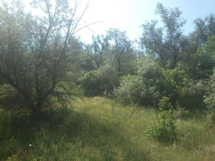 Хмельницьке з panoramio.com - Хмельницкое