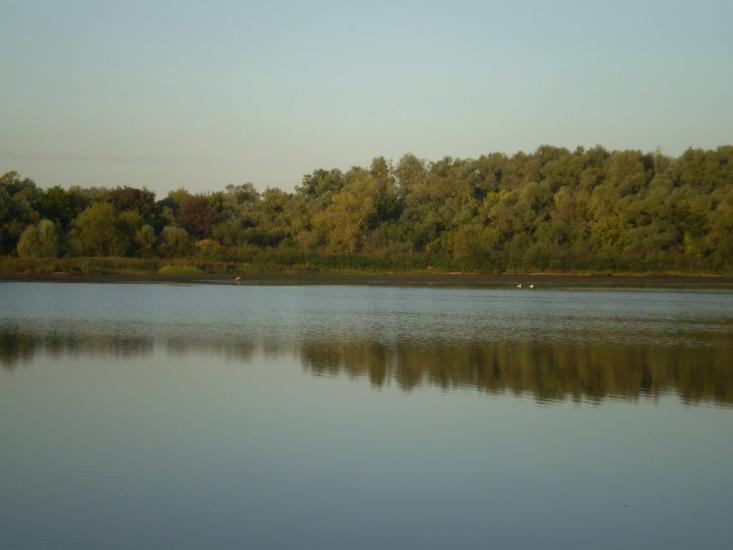 Прохорівка з panoramio.com - Прохорівка