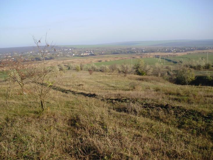 Козубівка з panoramio.com - Козубівка