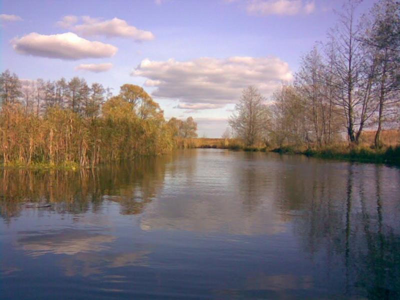 Кам'янка з panoramio.com - Каменка