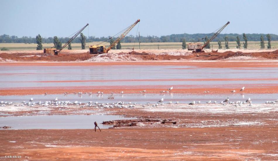 Лимани з panoramio.com - Лимани