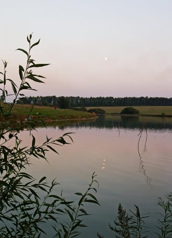 Кузьминці з panoramio.com - Кузьминцы