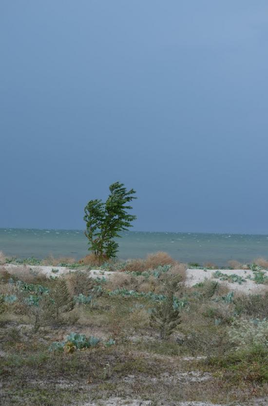 Стерегуще з panoramio.com - Стерегущее