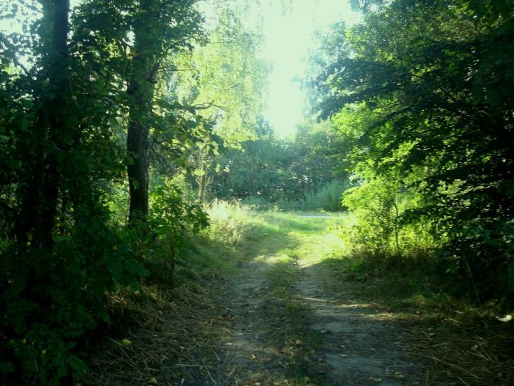 Зірка з panoramio.com - Зирка
