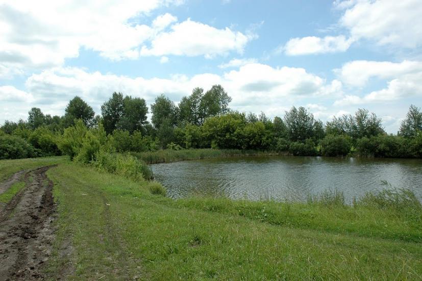 Червоний Степ з panoramio.com - Червоная Степь