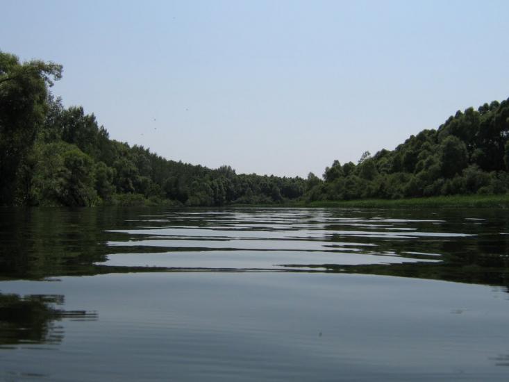 Камінь з panoramio.com - Камінь