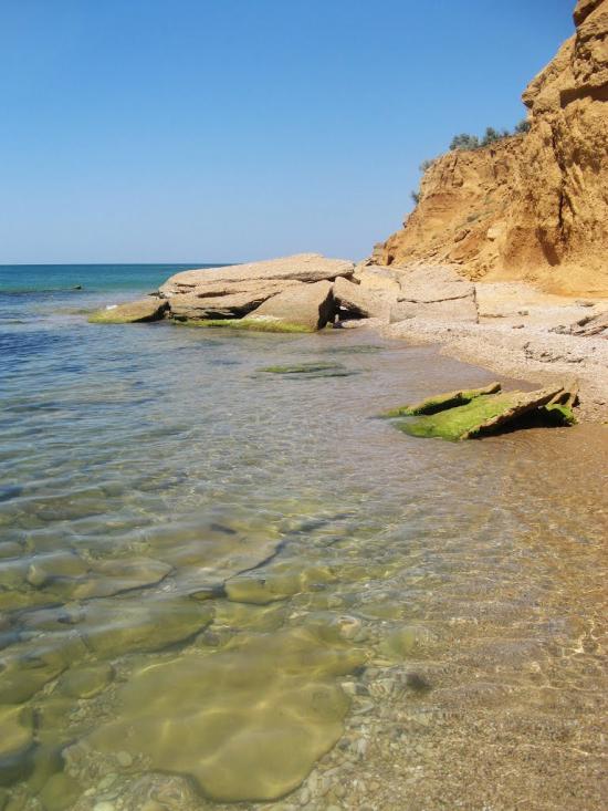 Осипенко з panoramio.com - Осипенко