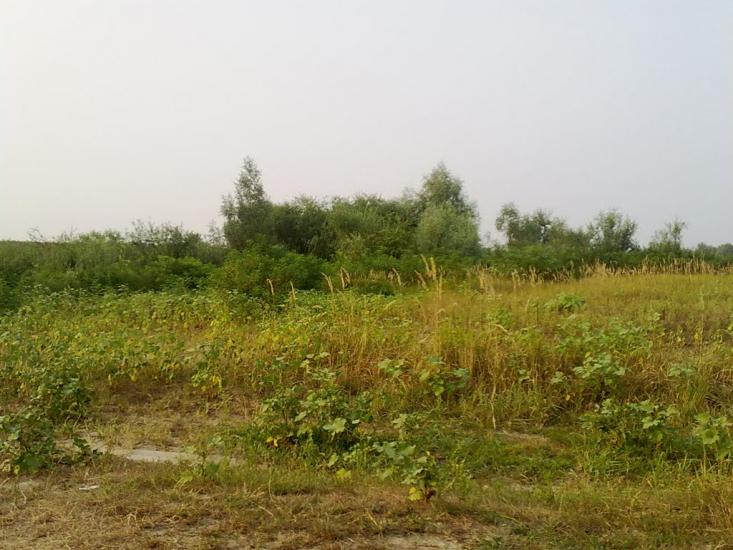 Вища Дубечня з panoramio.com - Вища Дубечня