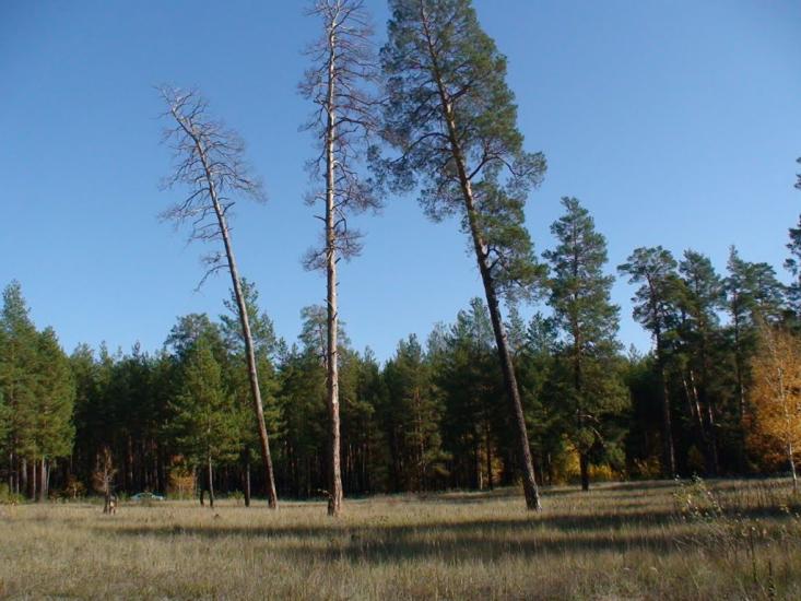 Студенок з panoramio.com - Студенок