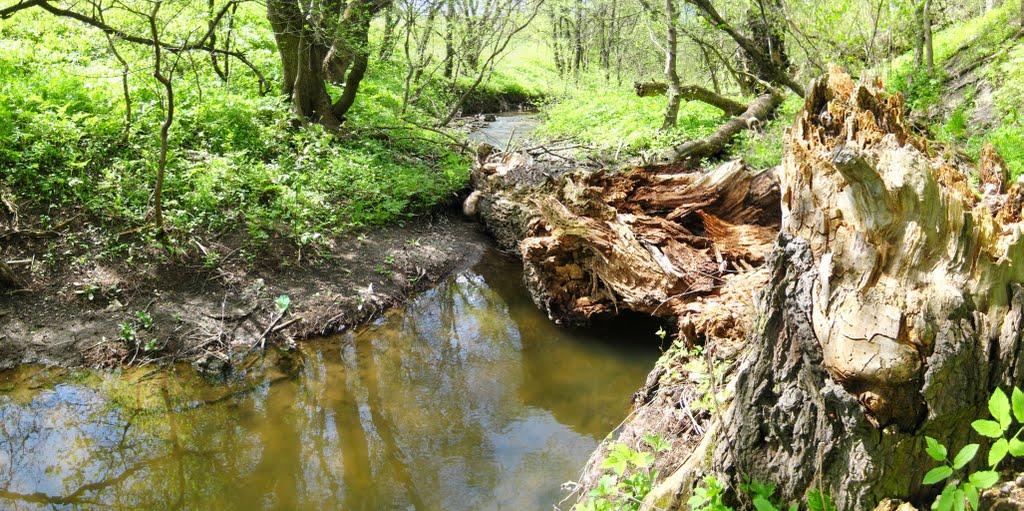 Комісарівка з panoramio.com - Комиссаровка