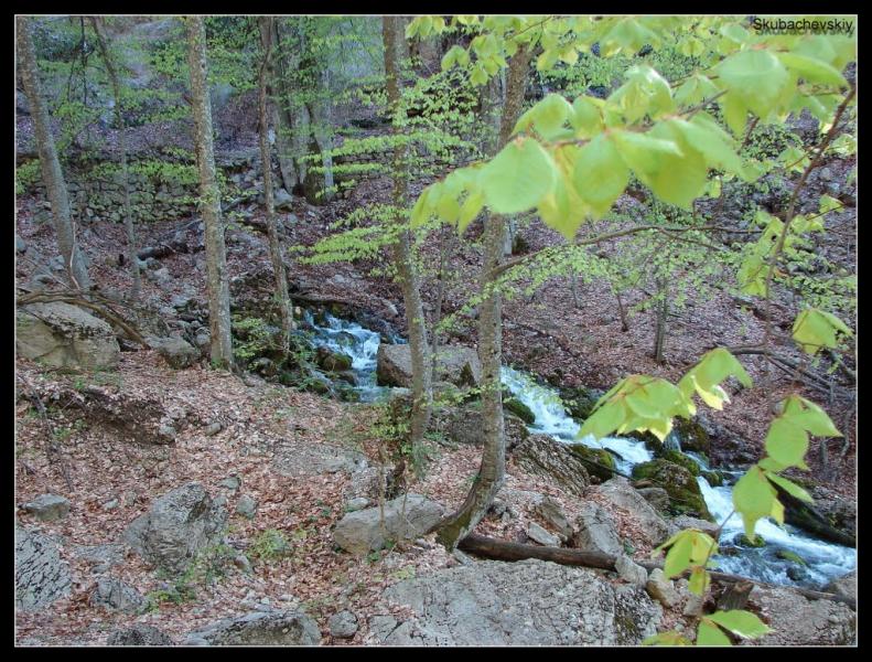 Підгородне з panoramio.com - Подгороднее