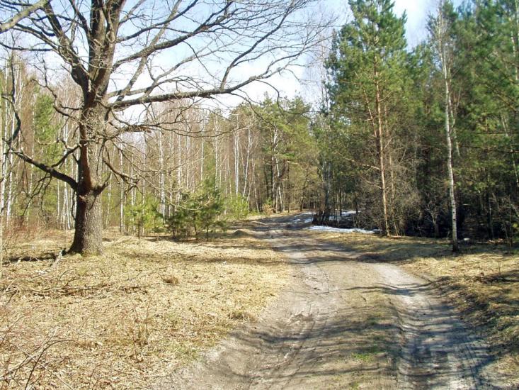 Вільхова з panoramio.com - Вільхова