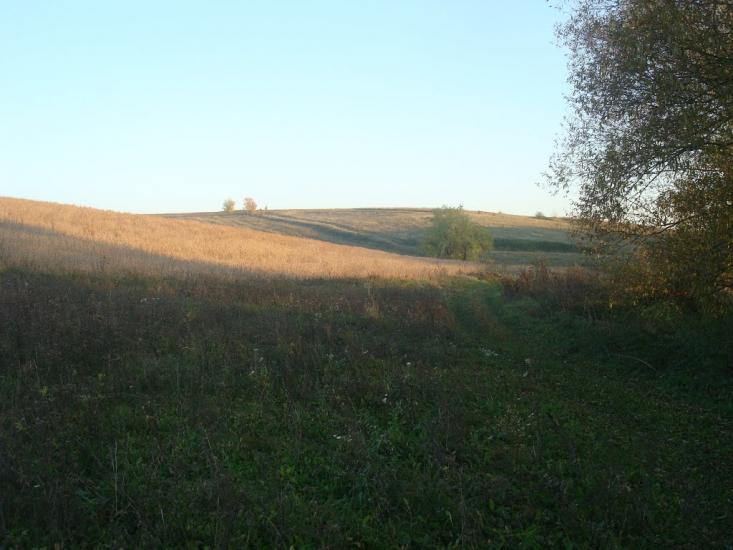 Томашівка з panoramio.com - Томашовка