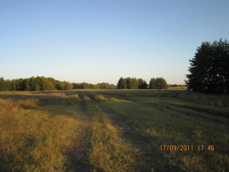 Валуйське з panoramio.com - Валуйское