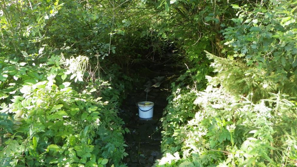 Ялинкувате з panoramio.com - Ялинкувате