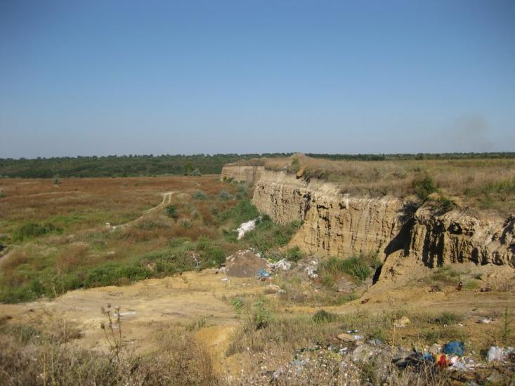Алтестове з panoramio.com - Алтестово