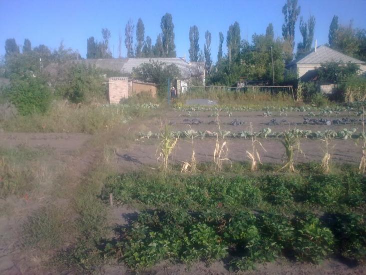 Вільхове з panoramio.com - Вільхове