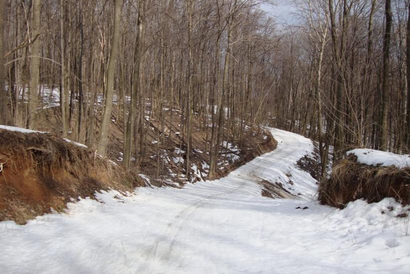 Бездрик з panoramio.com - Бездрик