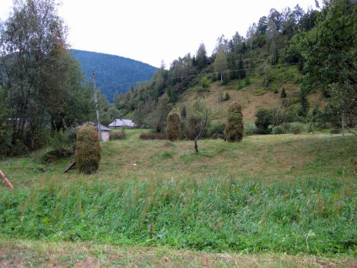 Максимець з panoramio.com - Maksymets