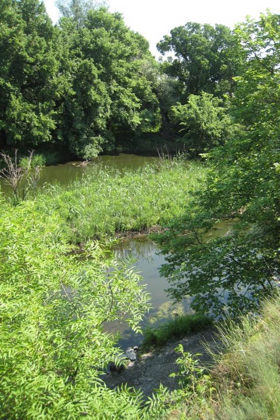 Зуївка з panoramio.com - Зуевка