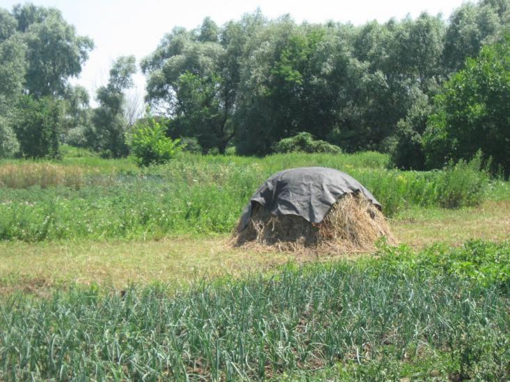 Врубівський з panoramio.com - Врубовский