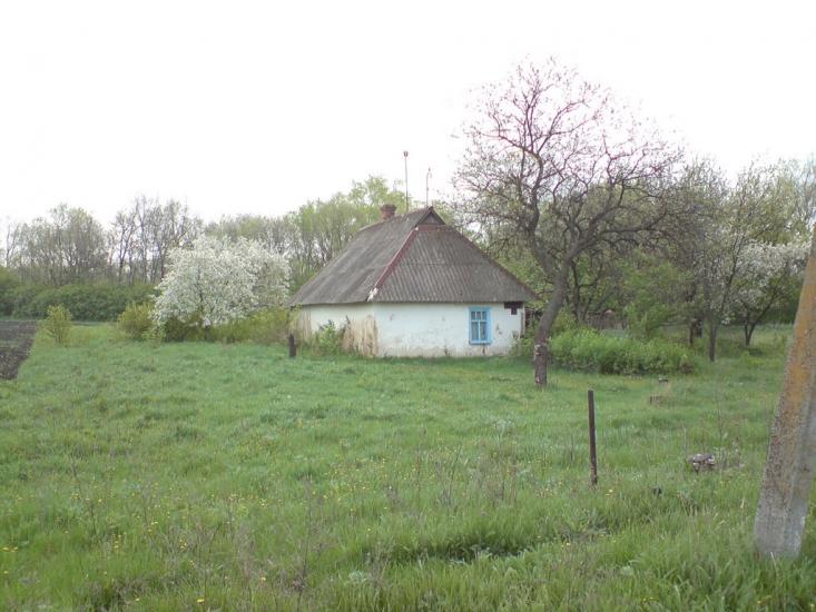 Веселе Поле з panoramio.com - Веселое Поле