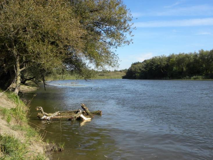 Змійове з panoramio.com - Змеево