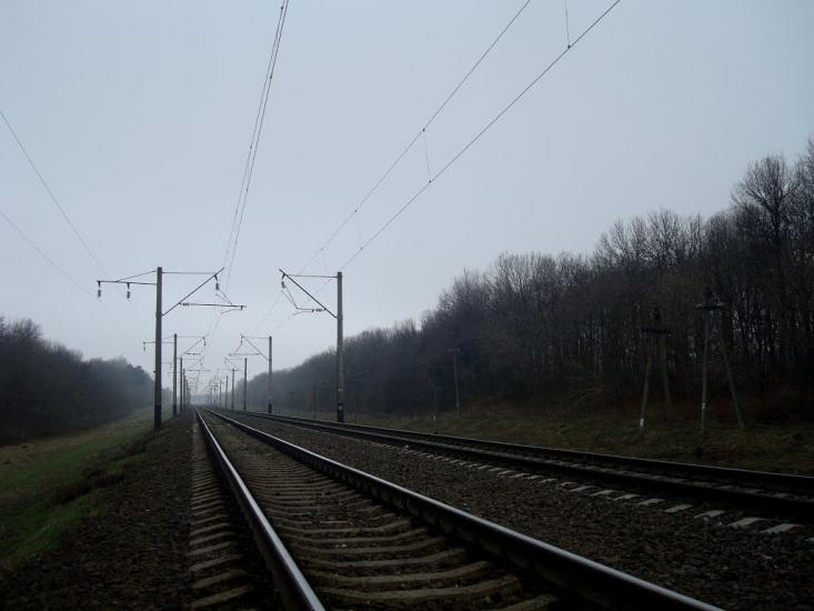 Васютинці з panoramio.com - Васютинці