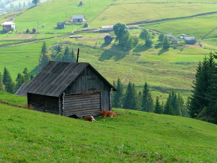 Ільці з panoramio.com - Ільці
